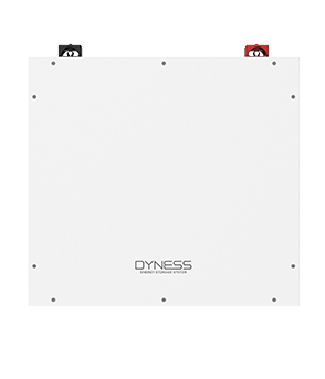 Dyness DL5.0 C 51.2 V 100 AH Lithium Ion Battery