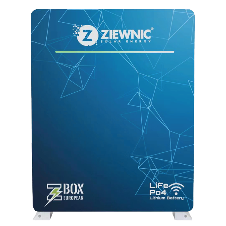 Ziewnic 51.2 V 100 AH Lithium Ion Battery